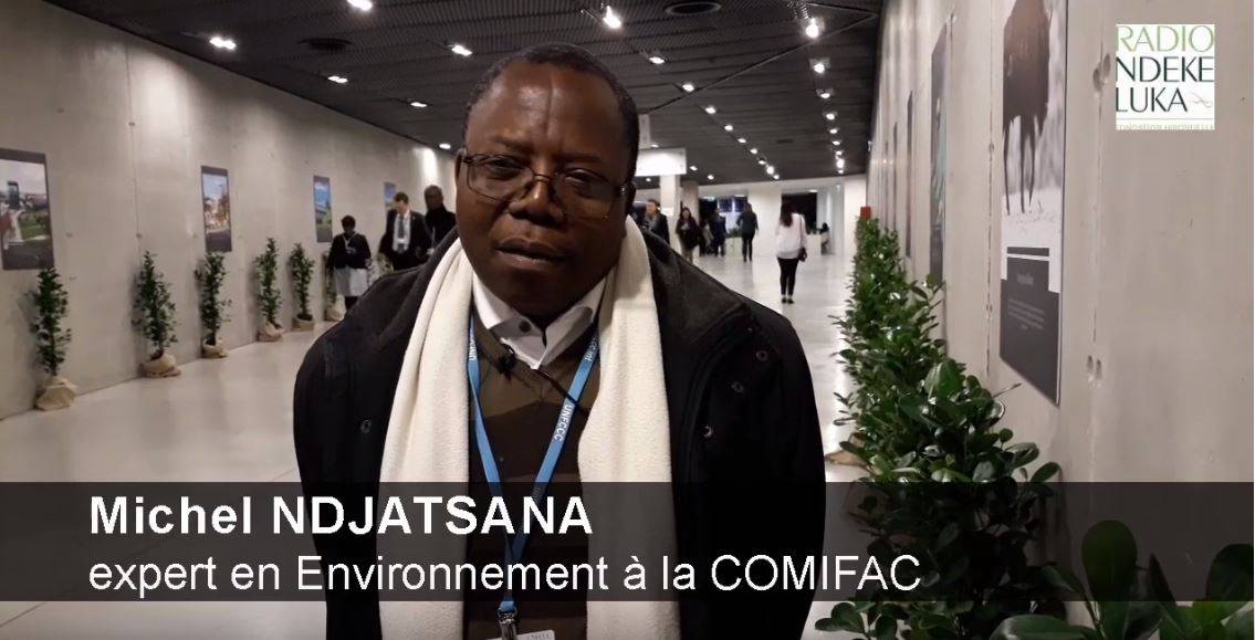 Les attentes de la Commission des forêts d&#039;Afrique centrale à la COP24