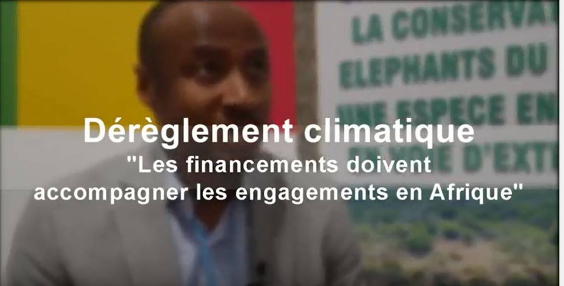 An interview with the speaker of the African negociators at the COP24