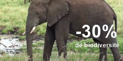 Notre vidéo : 7 chiffres clés sur le changement climatique