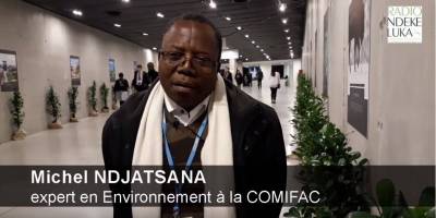 Les attentes de la Commission des forêts d'Afrique centrale à la COP24