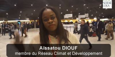 La décarbonisation, une opportunité de développement pour l'Afrique