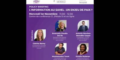 Panel: "Information in the Sahel: a peace issue?"