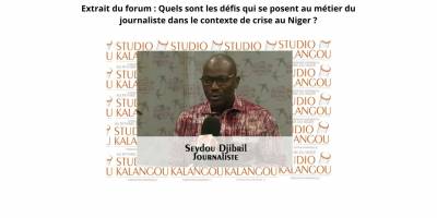 COUP D'ÉTAT AU NIGER : RÔLE DES MÉDIAS FACE À LA DÉSINFORMATION TOXIQUE DANS LE PAYS