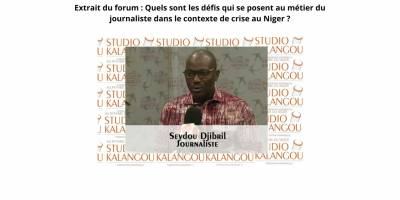 COUP D'ÉTAT AU NIGER : RÔLE DES MÉDIAS FACE À LA DÉSINFORMATION TOXIQUE DANS LE PAYS