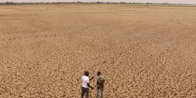 Informer efficacement sur l&#039;urgence écologique