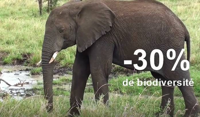 Notre vidéo : 7 chiffres clés sur le changement climatique