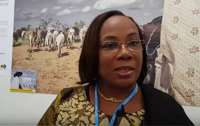 La Ministre de l&#039;environnement du Mali, interviewée par un envoyé spécial de la Fondation Hirondelle à la COP23.