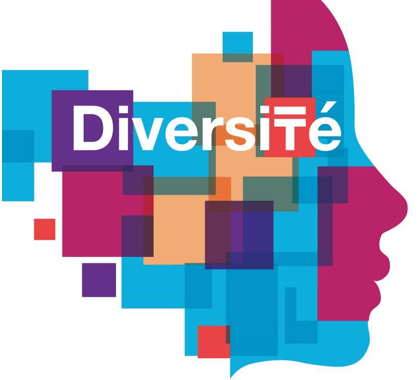 Our editorial director speaks in « Diversité »