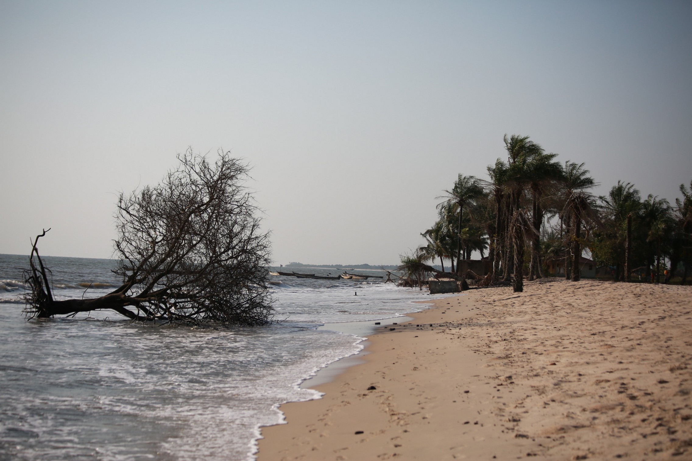 Reportage dans le village de Kitikata, en Guinée-Conakry, où le niveau de la mer ne cesse d’augmenter. © Fondation Hirondelle / Tristan Miquel