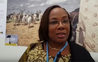 La Ministre de l'environnement du Mali, interviewée par un envoyé spécial de la Fondation Hirondelle à la COP23.
