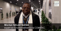 Les attentes de la Commission des forêts d'Afrique centrale à la COP24