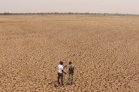 A journalist from Studio Yafa, Fondation Hirondelle's program in Burkina Faso, reports from the drought-stricken Mogtedo dam in central Burkina Faso