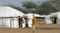 Journée mondiale des réfugiés : au Mali, l'insécurité freine leur retour